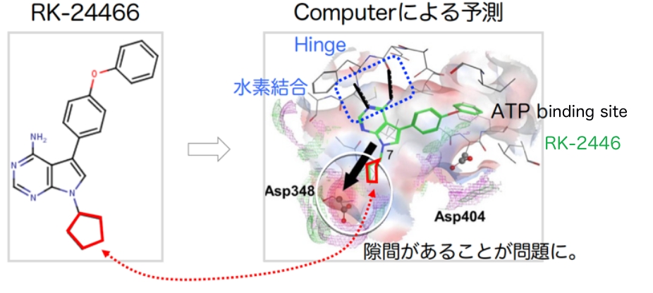 RK-24466→Computerによる予測